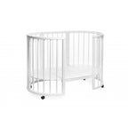 Patut transformer rotund/oval - Eucalyptus Olivia