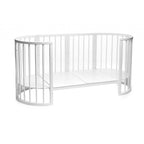 Patut transformer rotund/oval - Eucalyptus Olivia