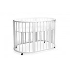 Patut transformer rotund/oval - Eucalyptus Olivia