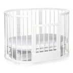 Patut transformer rotund/oval – Eucalyptus Olivia Plus