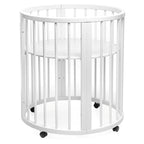 Patut transformer rotund/oval – Eucalyptus Olivia Plus