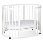 Patut transformer rotund/oval – Eucalyptus Olivia Plus