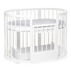 Patut transformer rotund/oval – Eucalyptus Olivia Plus