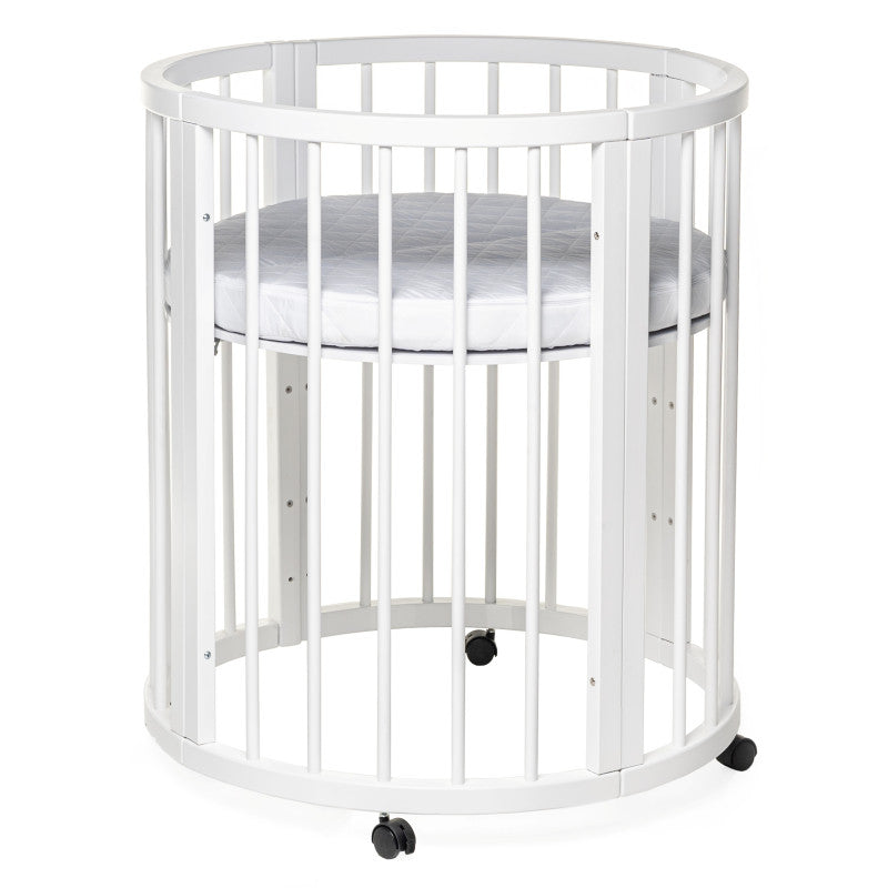 Patut transformer rotund/oval – Eucalyptus Olivia Plus