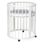 Patut transformer rotund/oval – Eucalyptus Olivia Plus