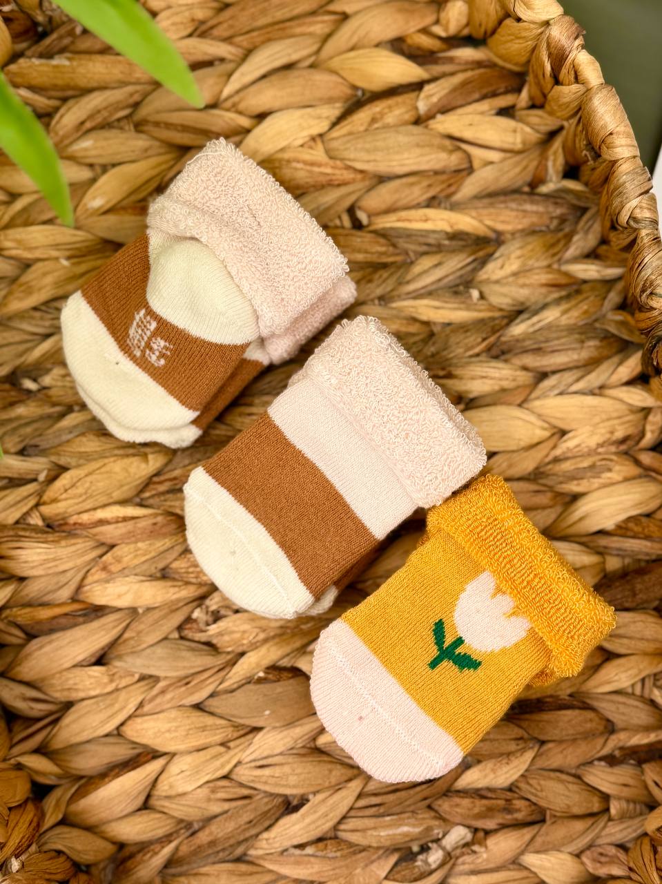 Ciorapi nou născuți 0-6 luni